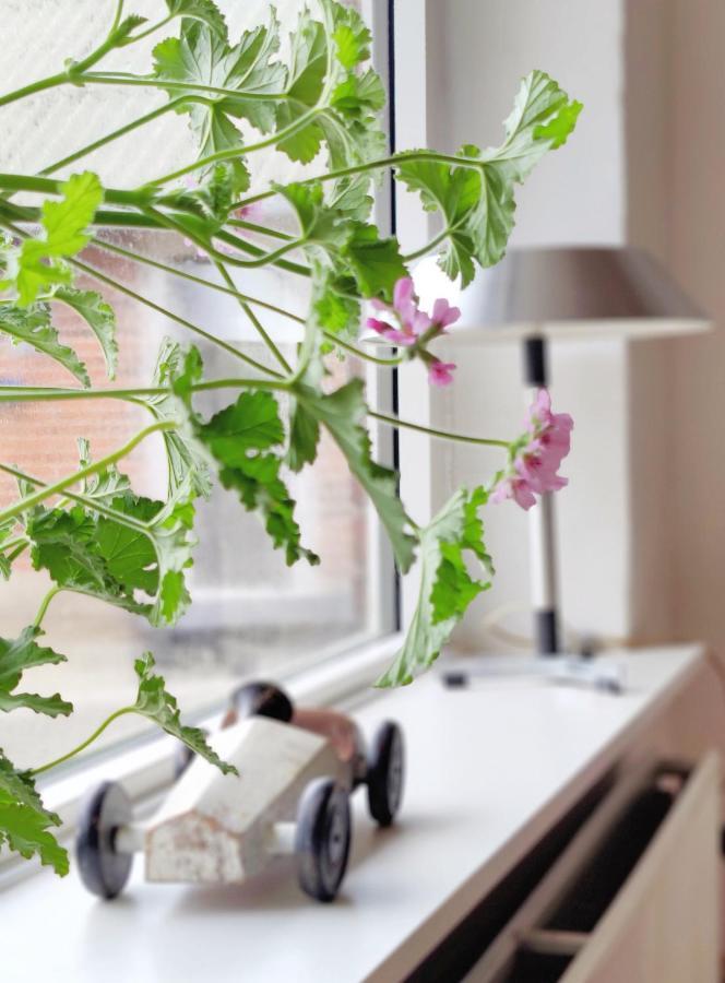 Villa Wunder Spottrup Ngoại thất bức ảnh